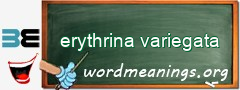 WordMeaning blackboard for erythrina variegata